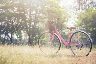 Manzara resim Vintage Bisiklet ile yaz çim sahası