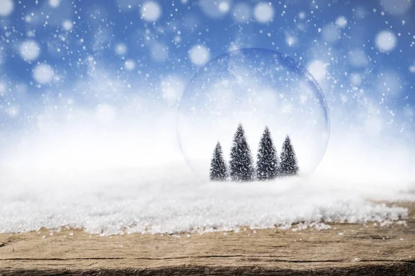 Pine trees in glass bubble on Christmas snow background