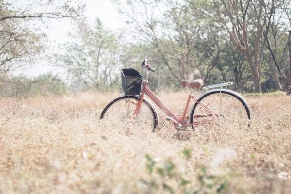 Bicicleta azul no parque. Tom vintage . — Fotografia de Stock