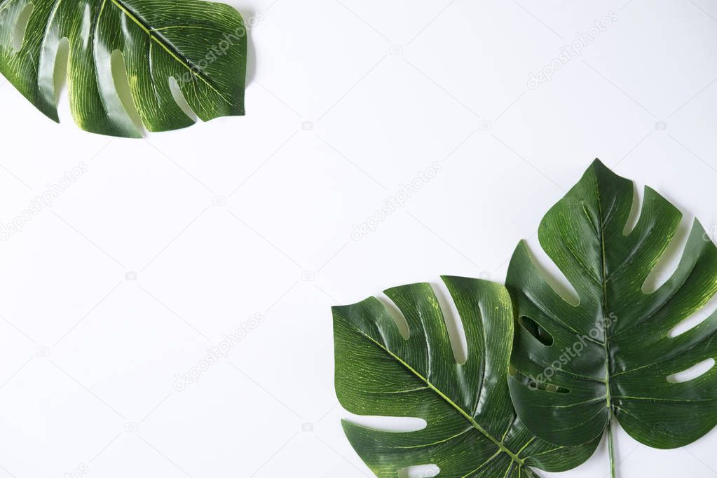 Nature layout made of tropical green leaves.
