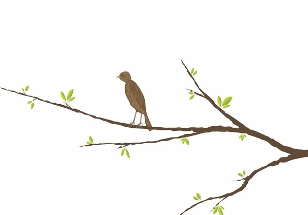 Oiseau assis sur une branche — Image vectorielle