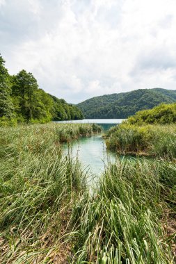 Hırvatistan 'da sazlıklar, Plitvice Gölü ve liman kenarı