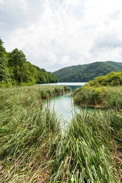 Waterfront with reeds, Plitvice Lake, Croatia — Stock Photo, Image