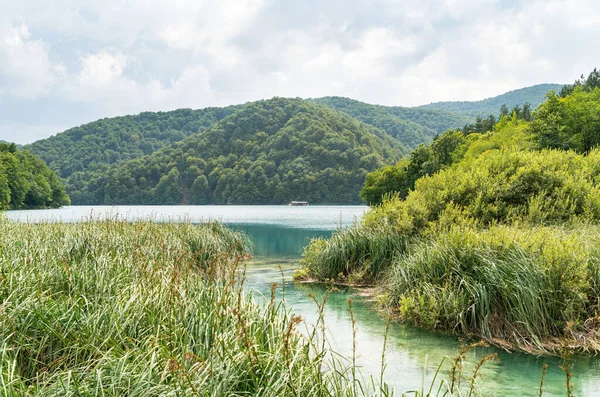 Waterfront with reeds, Plitivice Lake, Horvátország — Stock Fotó
