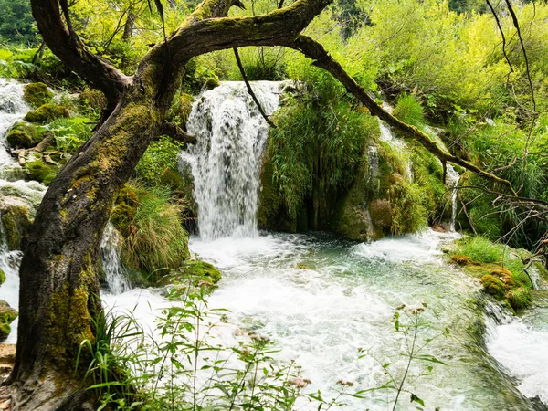 Gyönyörű Vízesések Plitvicei Természeti Nemzeti Park Horvátország Unesco Világörökség — Stock Fotó