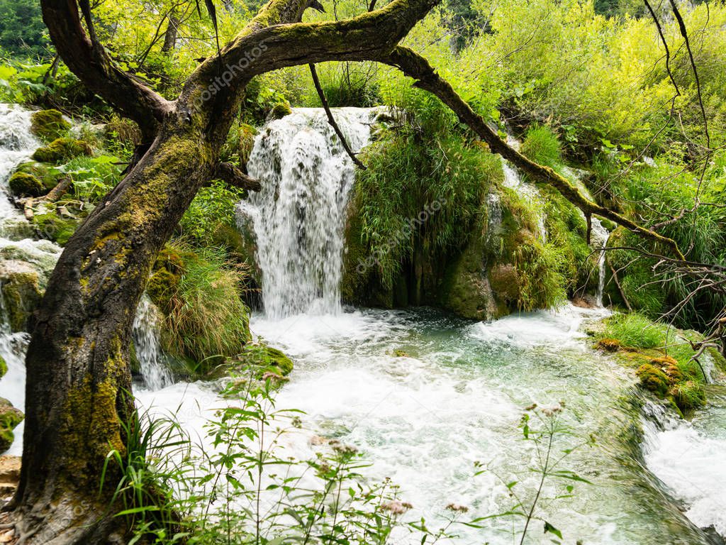 Beautiful waterfalls from Natural National Park of Plitvice, Croatia. Unesco World Heritage