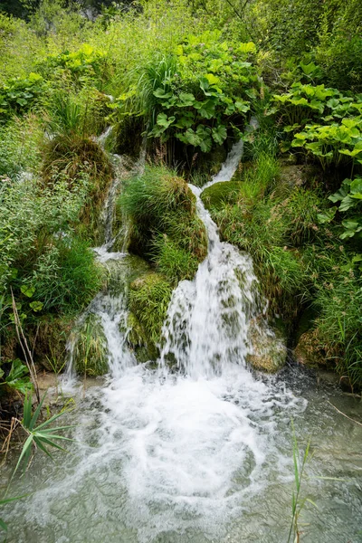 Vízesés Plitvicei Természeti Nemzeti Parkból Horvátország — Stock Fotó