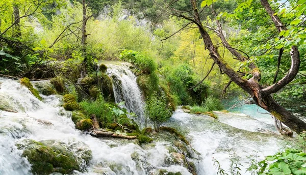 Vízesések a Plitvicei Természeti Nemzeti Parkból, Horvátország — Stock Fotó