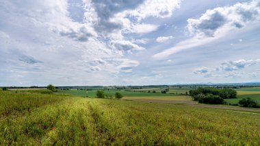 Kırsal alan, yabani nadas tarlası, açmakta olan gelincikler.
