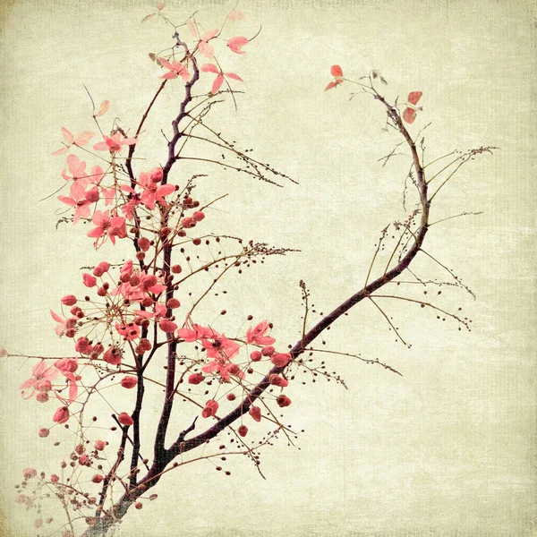 Delicate Pink Blossom Branch on Antique Paper Digital Art 스톡 이미지