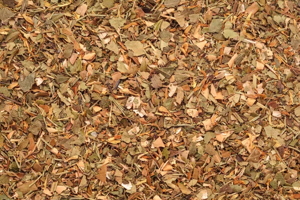 Herbal dry tea mix — Stock Photo, Image