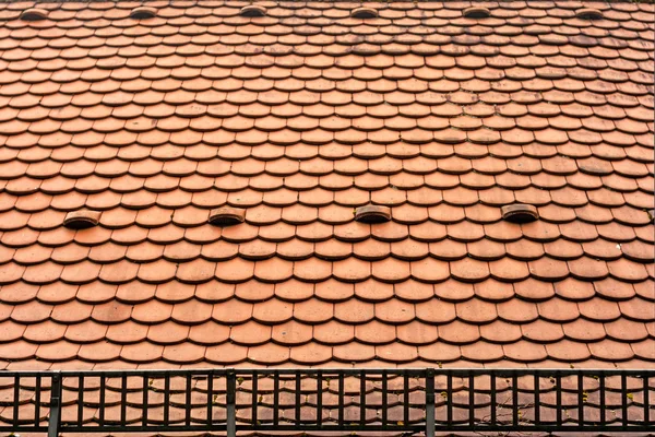 Dach dachówka z śniegu siatki — Zdjęcie stockowe