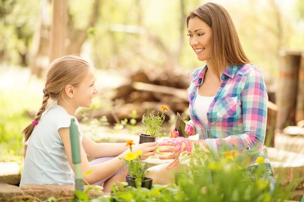 Девушка помогает матери сажать цветы — стоковое фото