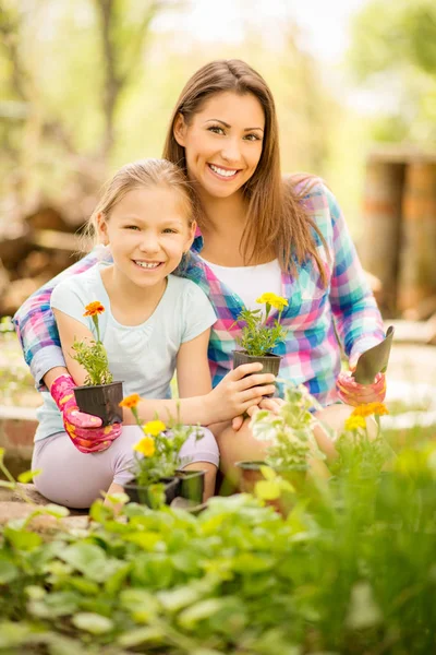 Мать и дочь сажают цветы — стоковое фото