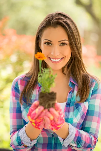 Frau pflanzt Blume im Garten — Stockfoto