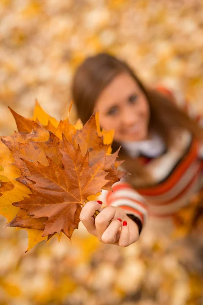 Žena při pohledu na podzimní listí — Stock fotografie