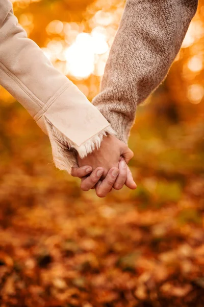 Pareja cogida de la mano y caminando en el bosque — Foto de Stock