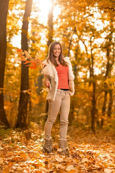 Mujer sosteniendo rama de árbol en bosque — Foto de Stock