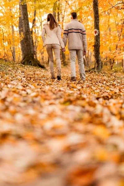Para trzymając się za ręce i spacery w lesie — Zdjęcie stockowe
