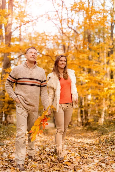 Couple holding hands and walking in forest — Stock Photo, Image