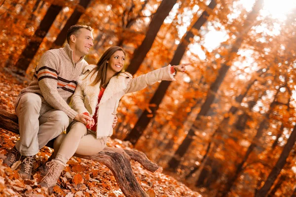 Couple sitting on tree trunk in forest — Stock Photo, Image