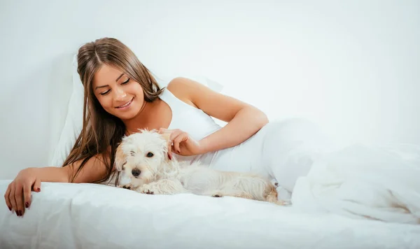 Menina bonito e cão de manhã — Fotografia de Stock