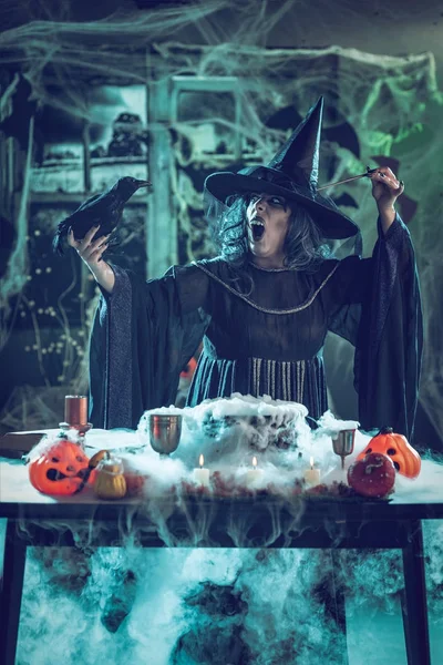 Witch Tells Magic Words To Blackbird — Stock Photo, Image