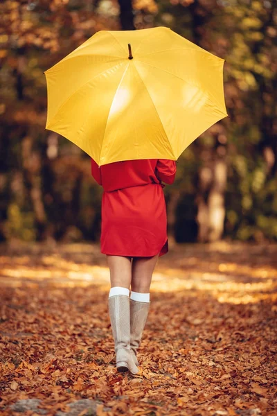 Жінка під парасолькою в парку — стокове фото