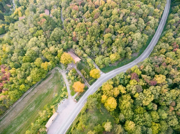 Ormandan geçen yol — Stok fotoğraf