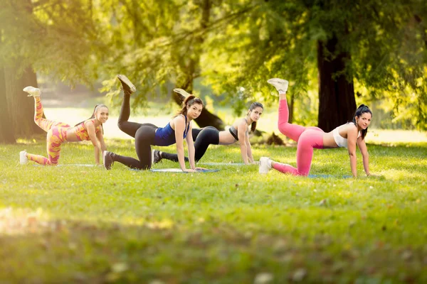 Four Beautiful Female Friends Doing Exercise Park Looking Camera — Stock Photo, Image