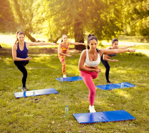Belas Namoradas Fazendo Exercício Parque Com Treinador Fitness Feminino Foco — Fotografia de Stock