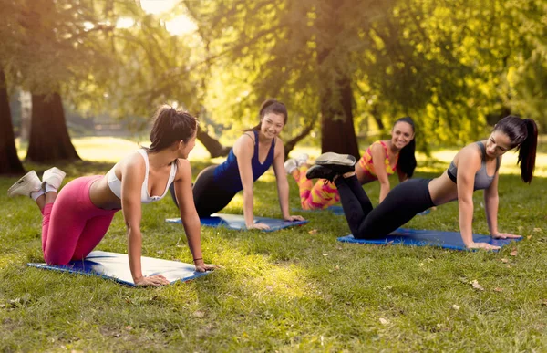 Belas Namoradas Fazendo Exercício Push Parque Com Treinador Fitness Feminino — Fotografia de Stock