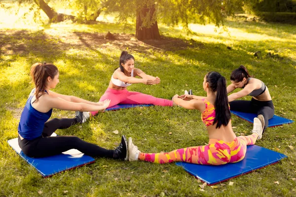 Cztery Piękne Koleżanki Robi Stretching Ćwiczenia Parku Selektywny Fokus — Zdjęcie stockowe