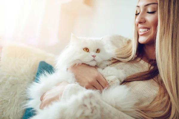 Жінка розслабляючий персидський кіт — стокове фото