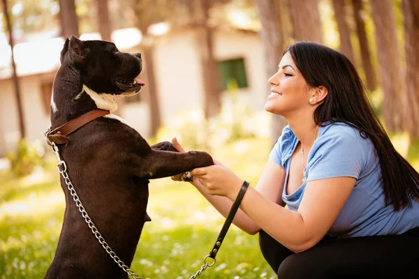 Woman playing with her cute stafford terrier — Stock Photo, Image