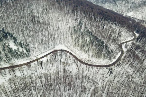 Straße durch Wald mit Schnee. — Stockfoto