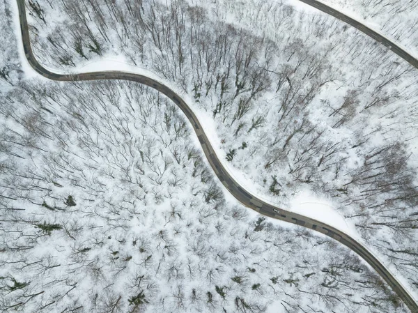 Δρόμους πηγαίνοντας μέσα από δάσος με χιόνι. — Φωτογραφία Αρχείου