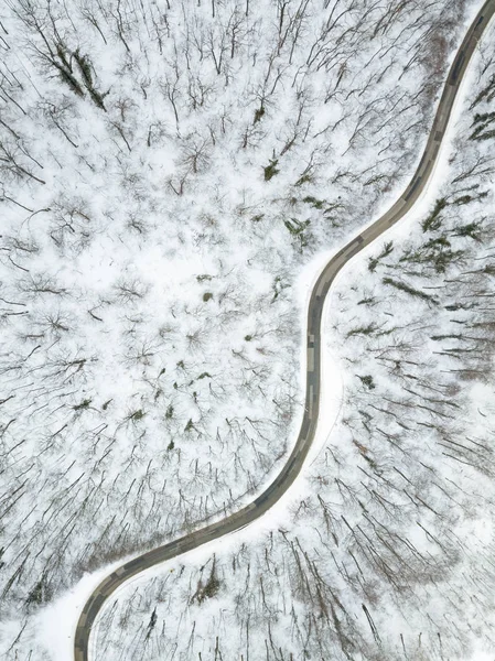 Estrada que atravessa a floresta com neve . — Fotografia de Stock