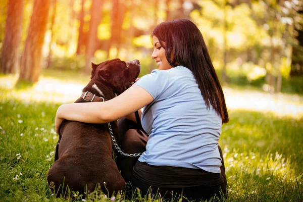 Vista Trasera Una Hermosa Mujer Joven Abrazando Lindo Stafford Terrier — Foto de Stock