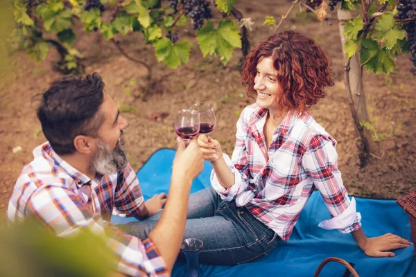 Belo Casal Sorridente Feliz Fazendo Piquenique Uma Vinha Brindando Com — Fotografia de Stock