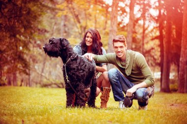 Bir köpek, bir siyah dev schnauzer, sonbahar renkleri parkında zevk ile güzel güzel Çift.