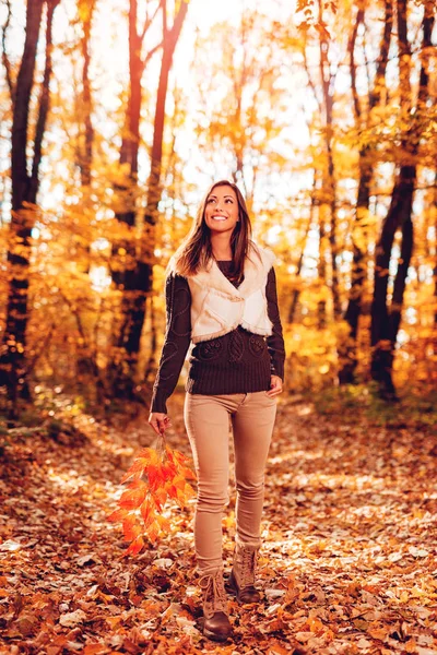 Hermosa Joven Sonriente Mujer Caminando Bosque Soleado Los Colores Otoño — Foto de Stock