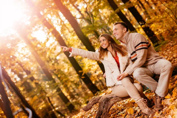 Hermosa Pareja Sonriente Disfrutando Bosque Soleado Colores Otoñales — Foto de Stock