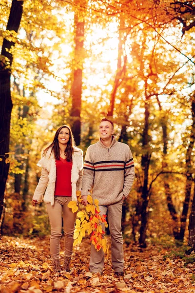 Piękna Uśmiechnięta Para Spaceru Lesie Słoneczny Kolorach Jesieni — Zdjęcie stockowe
