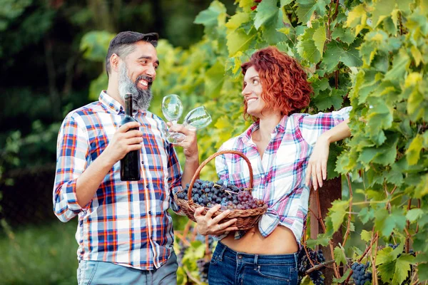 Pareja Madura Divirtiéndose Degustando Vino Viñedo —  Fotos de Stock