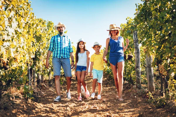 Семья на винограднике — стоковое фото