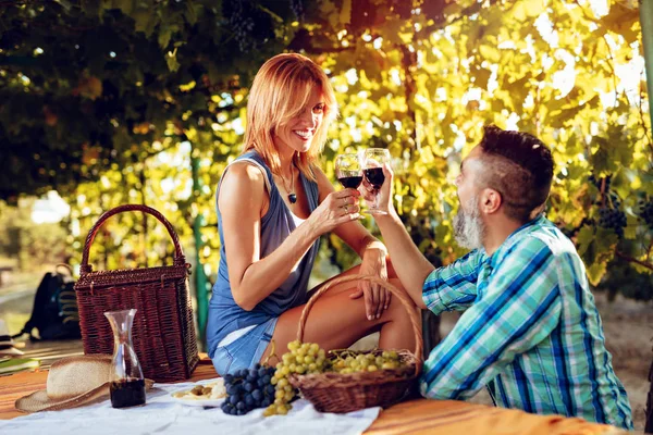 Mature Couple Having Picnic Tasting Wine Vineyard — Stock Photo, Image