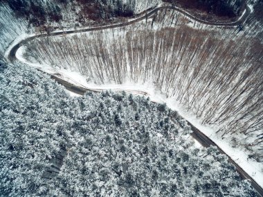 Yolun dağlarda vahşi Park'ta karlı orman çevrili havadan görünümü