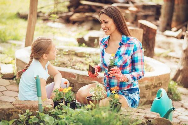 Jonge Vrouw Met Dochter Planten Van Bloemen Achtertuin — Stockfoto