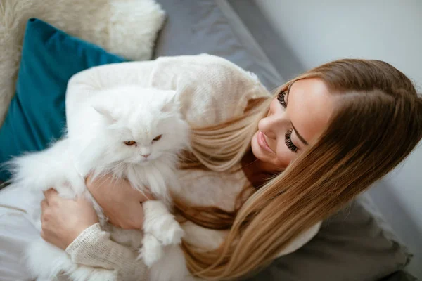 在家放松的年轻妇女和拥抱白色波斯猫 — 图库照片